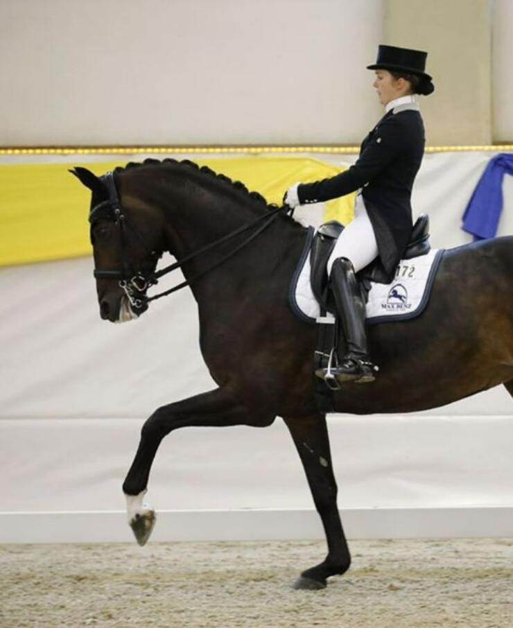 Dressurturnier und Halbfinale