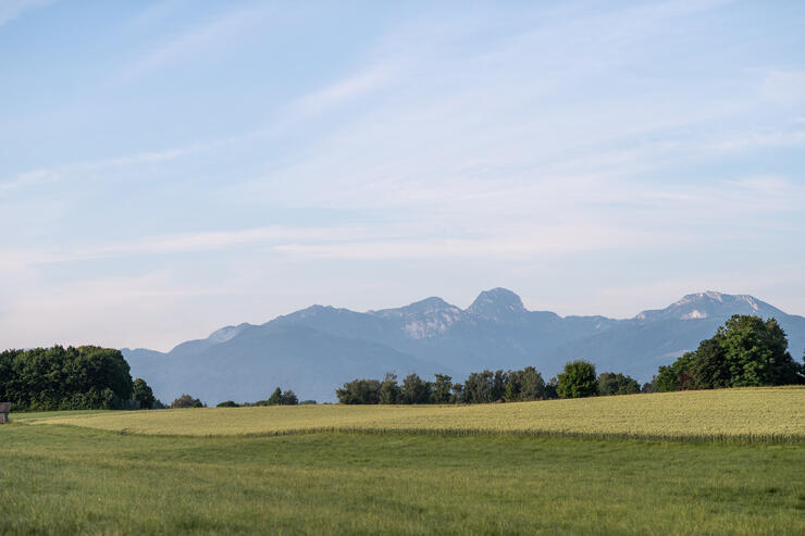 Zu den Moorelfen: Wanderung ins Aiblinger Moor