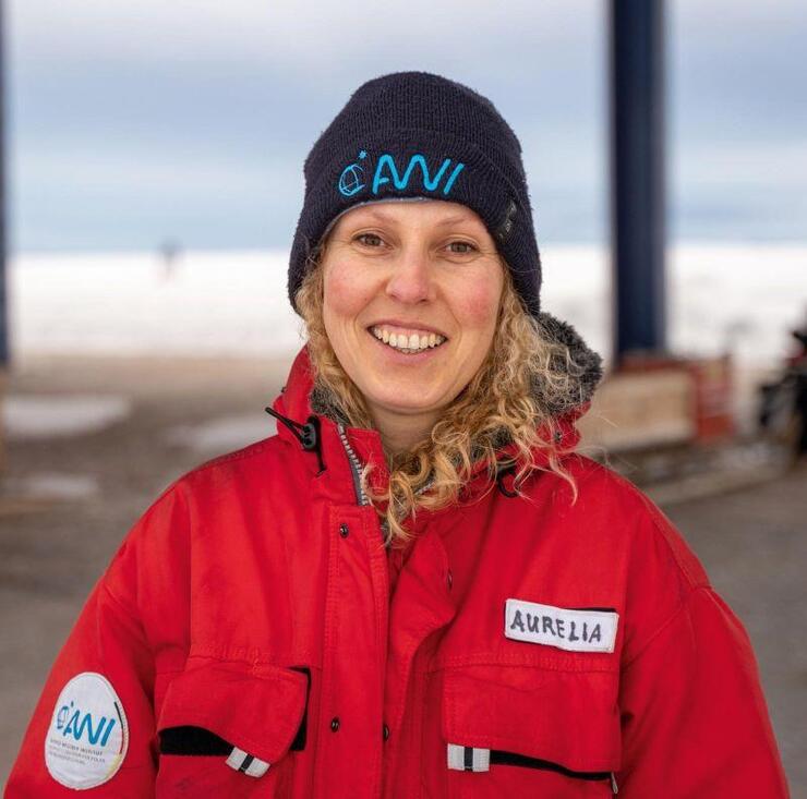 Aurelia Hölzer: Polarschimmer