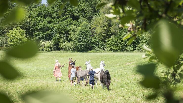 Lamawanderung Familientour