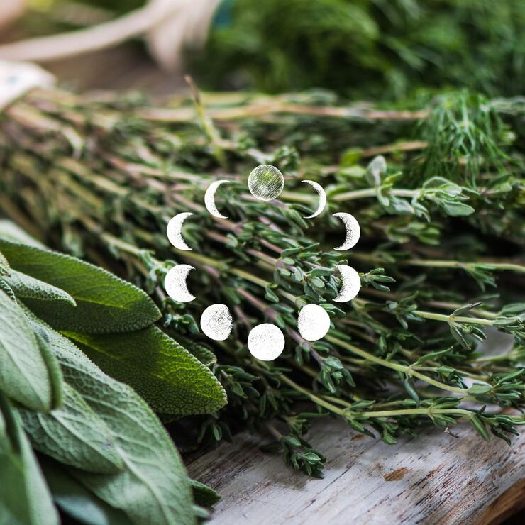 Healing Herbs - Journey of the Senses