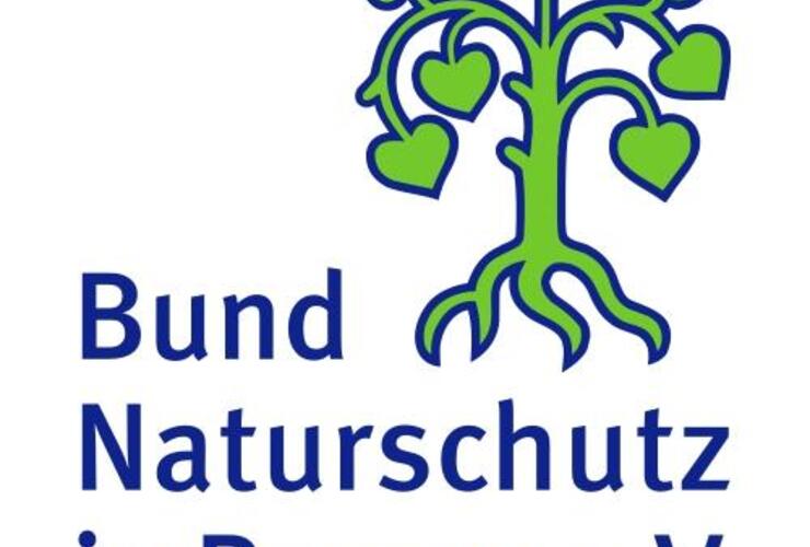 Bund Naturschutz: Schutzbemühungen rund um unsere Fischfauna