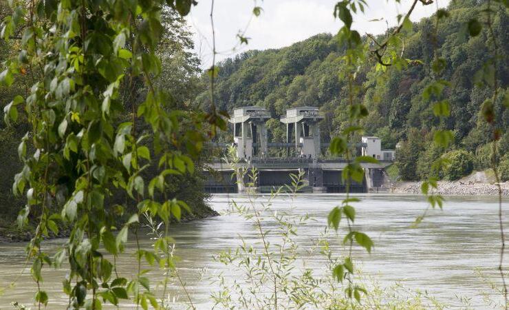 Entdeckungsreise zwischen Portalkränen und Turbinen