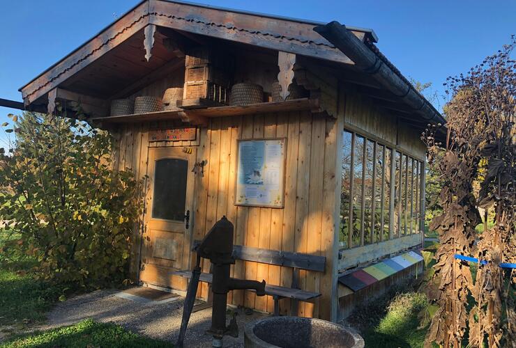 Besichtigung am Bienenschauhaus