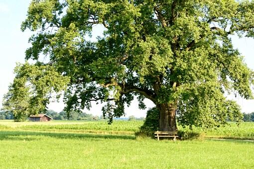 „Gemeinsam den Herbst erleben“ „Spitzau“