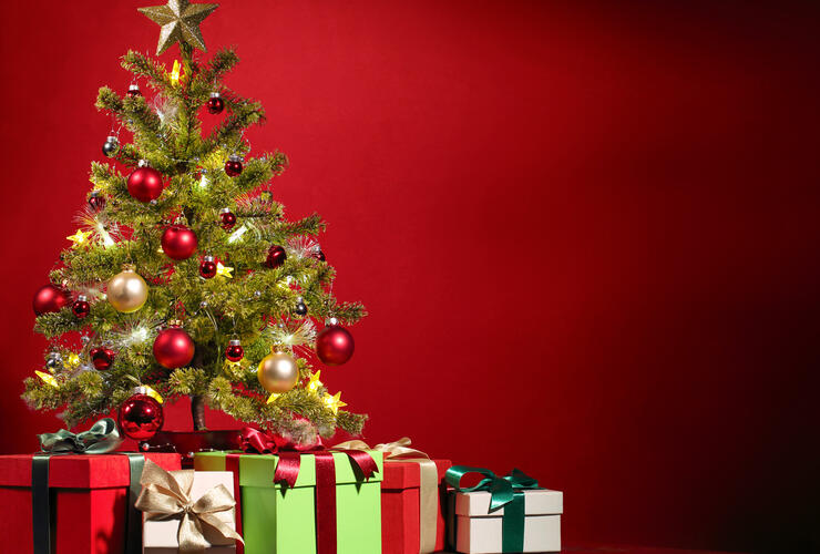 Christbaumversteigerung
