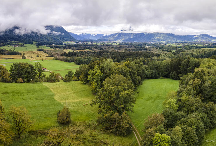 Wanderherbst Spurensuche mit der Linse