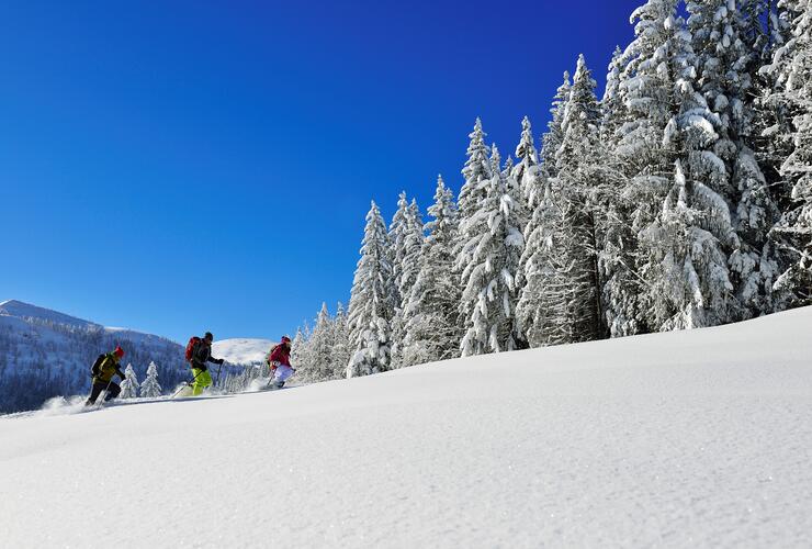 Schneeschuh-Tagestour