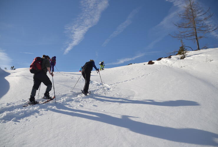 Schneeschuh-Tagestour