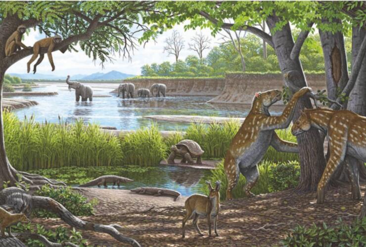 Sonderausstellung - Molassic Park