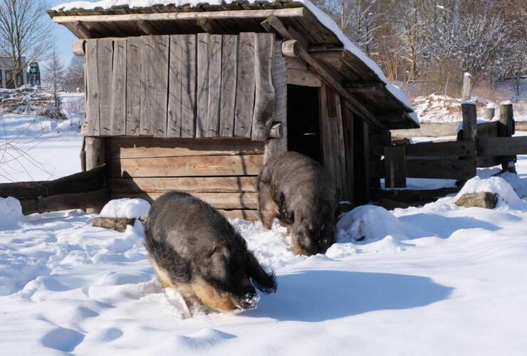 Weihnachten im Geschichtspark Bärnau-Tachov
