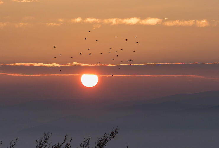 Laternen-Wanderung durchs Pastritztal