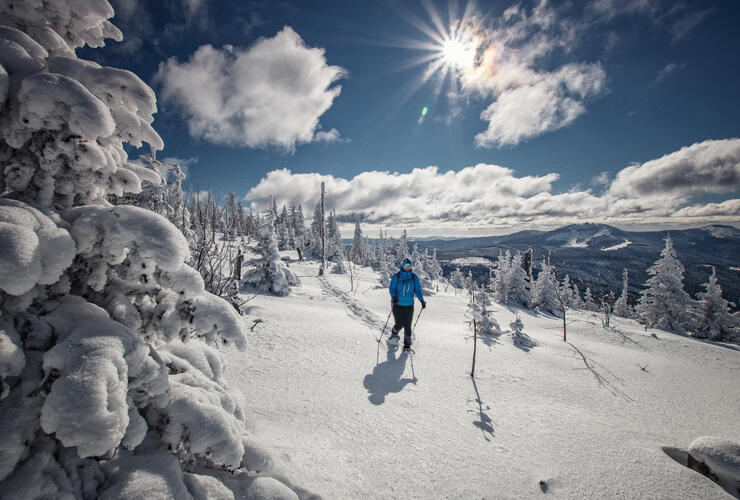 Schneeschuhwanderung zum Zwercheck