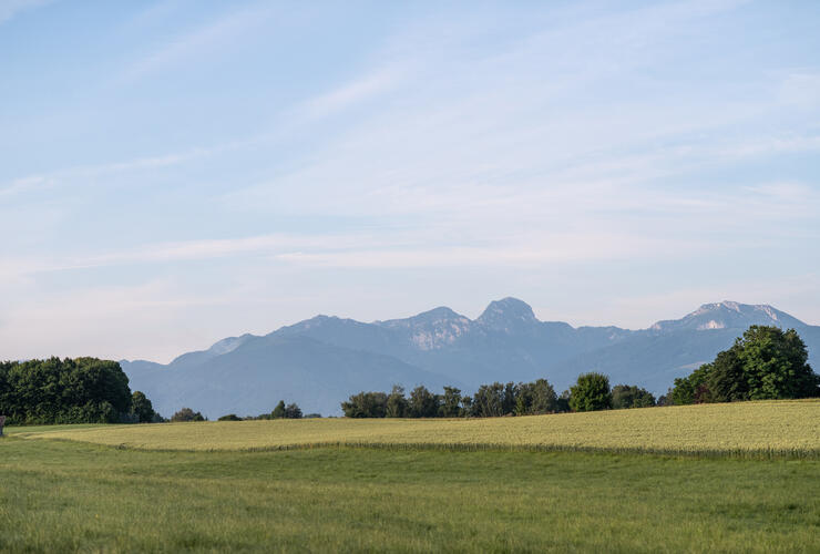 Zu den Moorelfen: Wanderung ins Aiblinger Moor