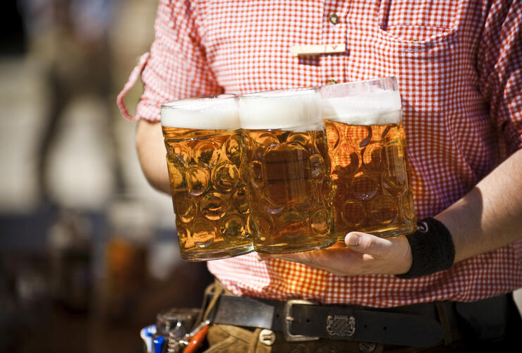 Festival Holledau