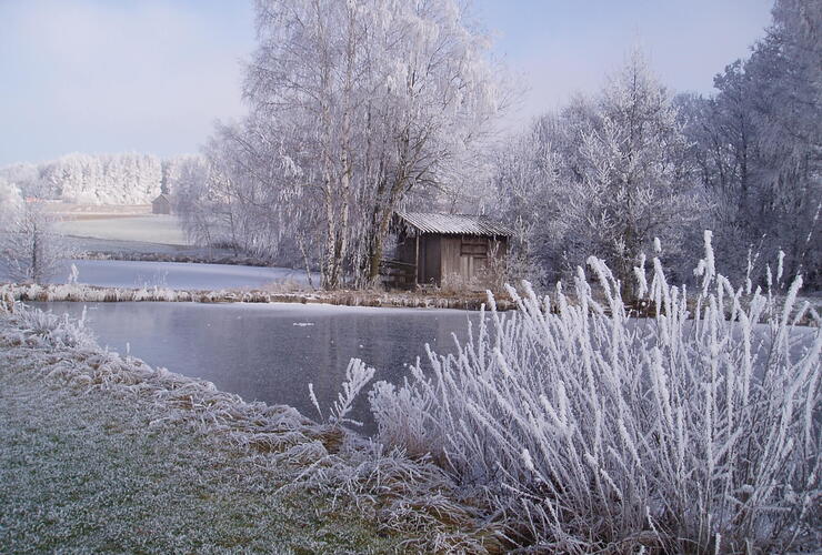Weihnachtsfeier - Wintersportverein