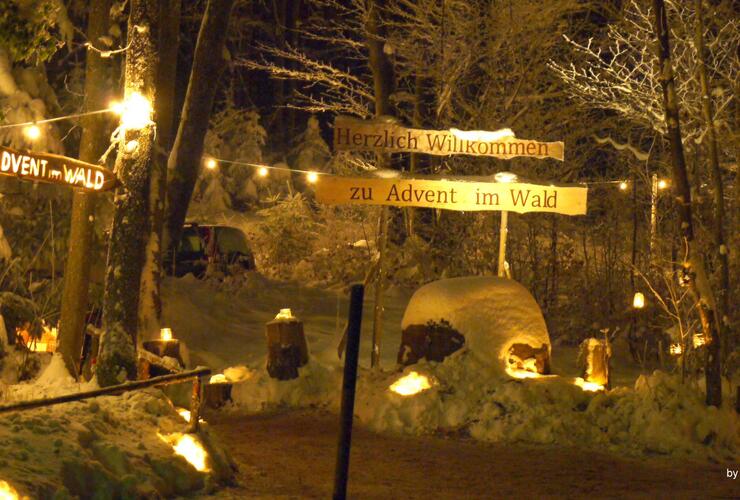 Advent im Wald