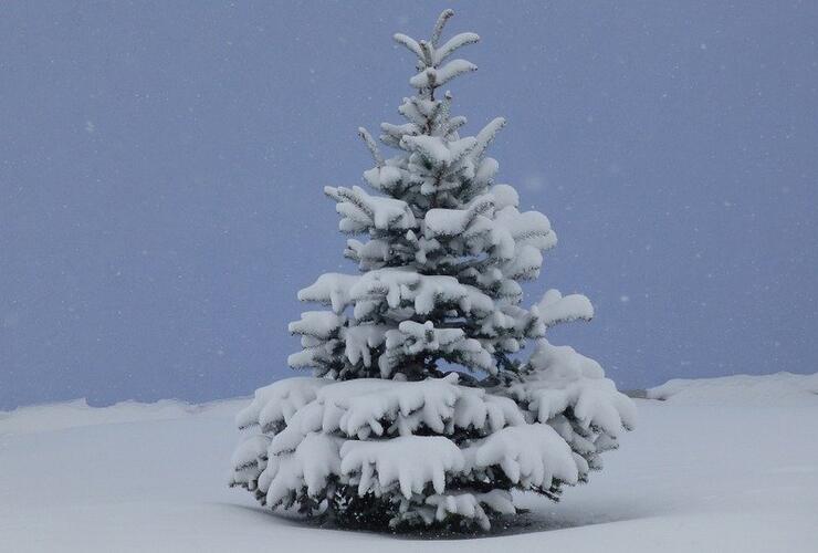 Feldweihnacht an der Dreifaltigkeitskapelle