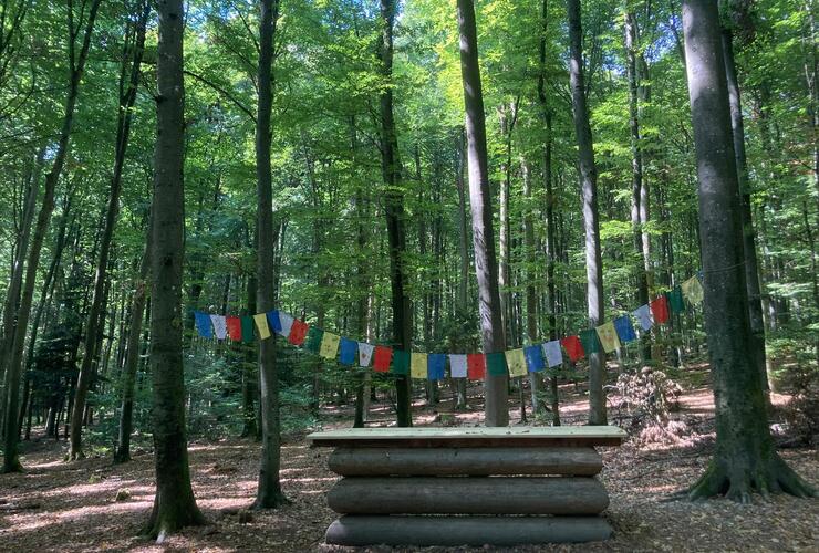 Unterricht im Wald – Fortbildung für Lehrkräfte