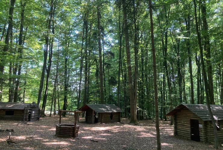 Im Takt der Natur: Uhren basteln im Wald – Vater-Kind-Nachmittag für Väter mit Kindern von 6 bis 10 Jahren