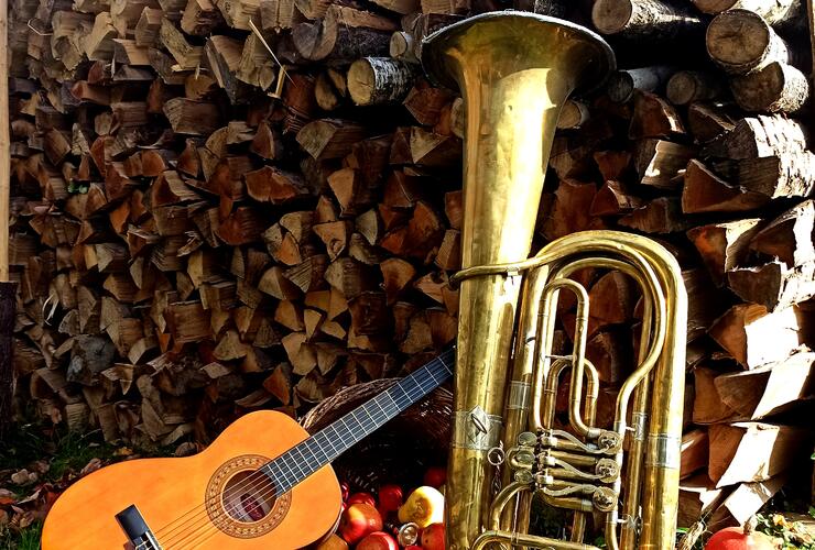 Donau.Wald.Kultur-BRETTL