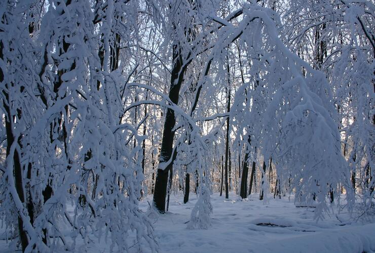 Winterliche Kapellenwanderung