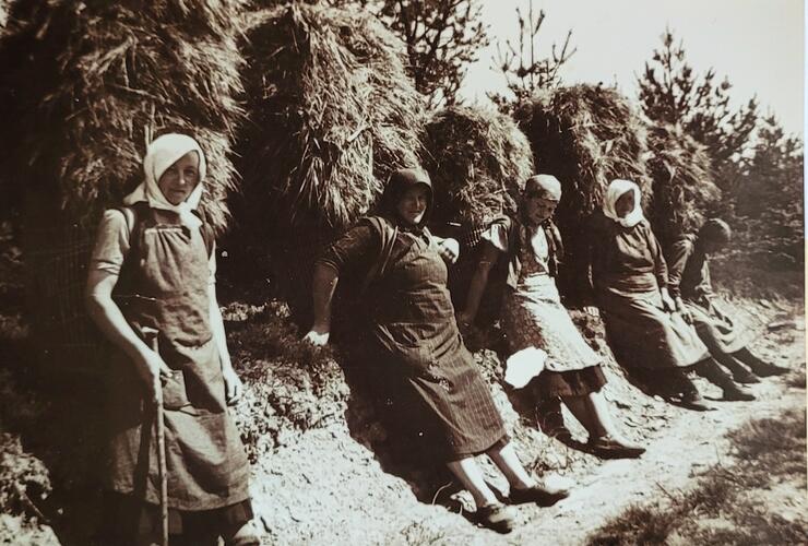 Landleben annodazumal - Historische Fotografien aus der Sammlung der Fichtelgebirgsmuseen