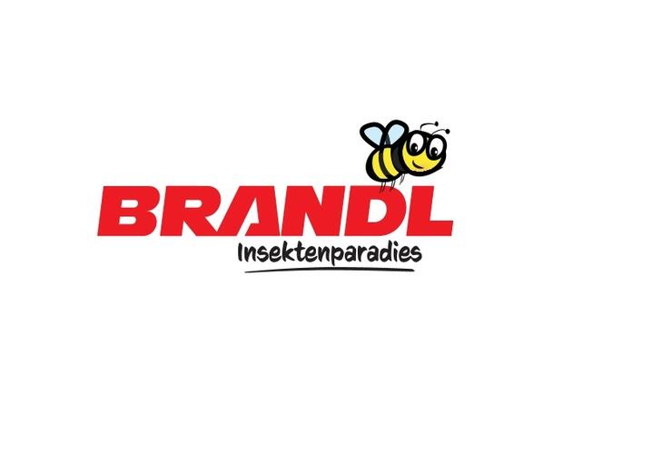 Das Brandl Insektenparadies