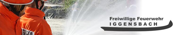 Wissenstest Jugendfeuerwehren Ldkr. Deg in Iggensbach