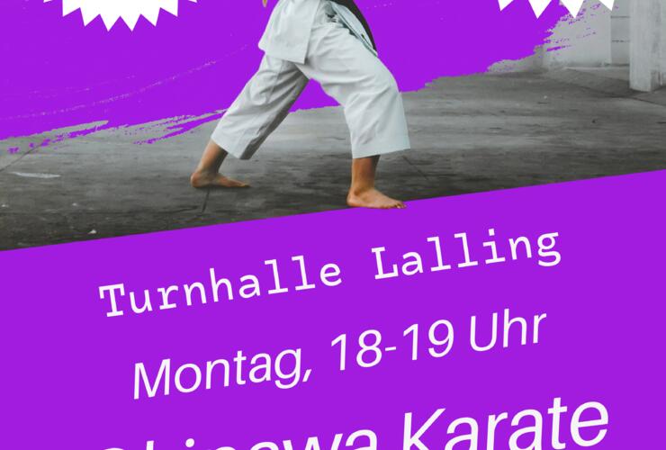 Okinawa Karate