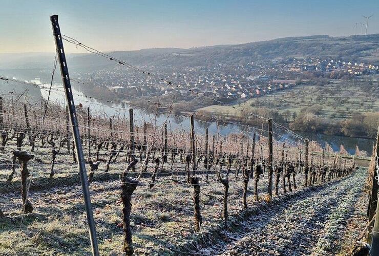 Winterwanderung am Sonnenschein