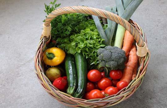 Bad Endorfer Bauernmarkt