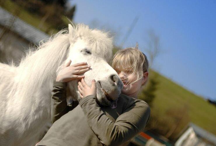 Pony Team - alles rund ums Pony