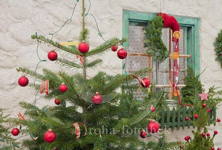 Stephaniefeier und Christbaumversteigerung