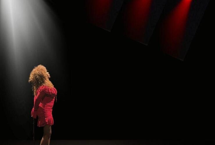 THE MAGIC OF TINA TURNER feat. DIVA TURNER