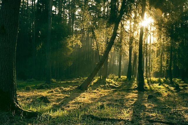 Waldbaden im Mangfalltal - leichtes Wandern mit Achtsamkeit zum Ende der Sommerzeit