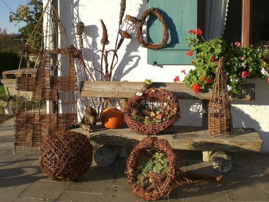 Weidenflechten - Herbst