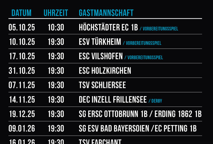 Eishockey