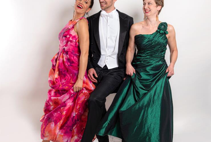 Konzert mit Ensemble OPER PLUS