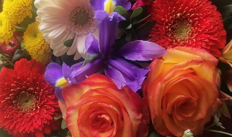 Palliative Beratung: Einfühlsame Begleitung und Orientierung für Betroffene und Angehörige