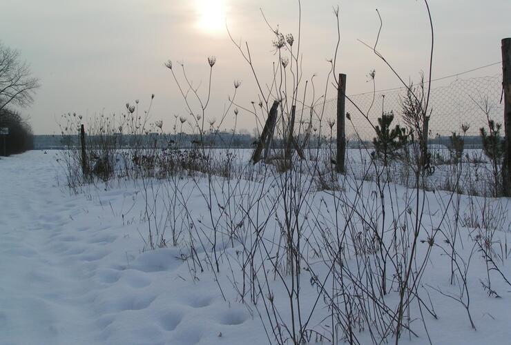 Im Winter Ruhe und Entspannung erleben - Qigong und Naturerfahrung an der Umweltstation