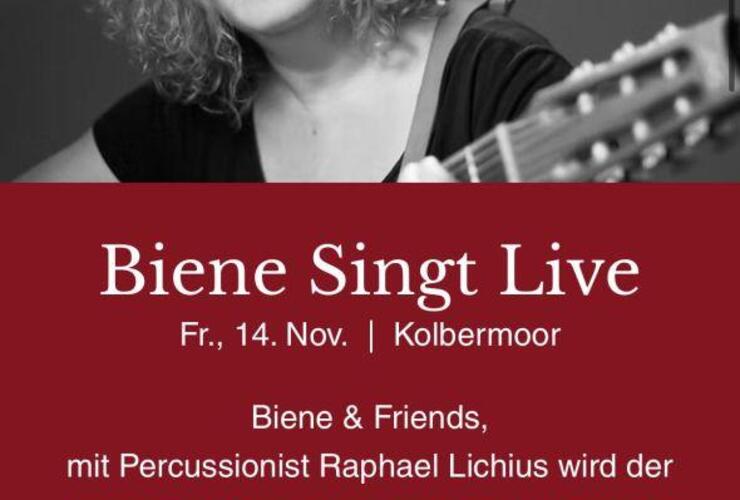 Biene Singt, Live im Baristro