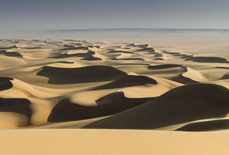 Kunst im Foyer - Fotoausstellung