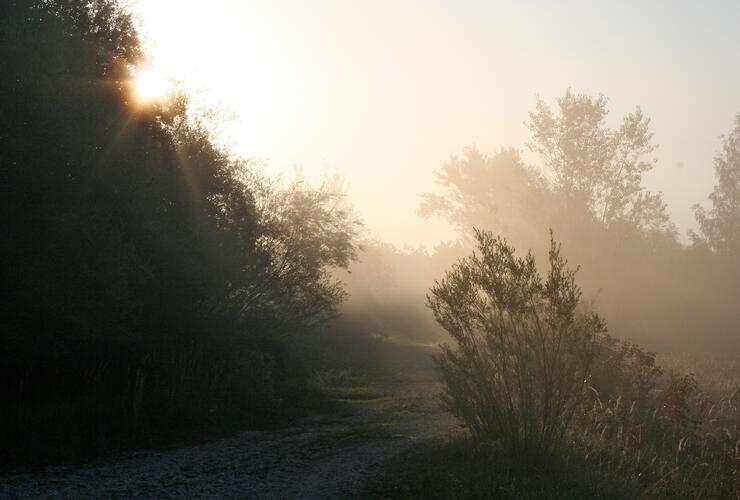 Wie der Rabe das Licht brachte  - Winterlicher Geschichten-Nachmittag
