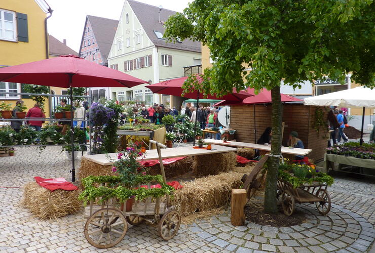 Fuchsien- und Kräutermarkt