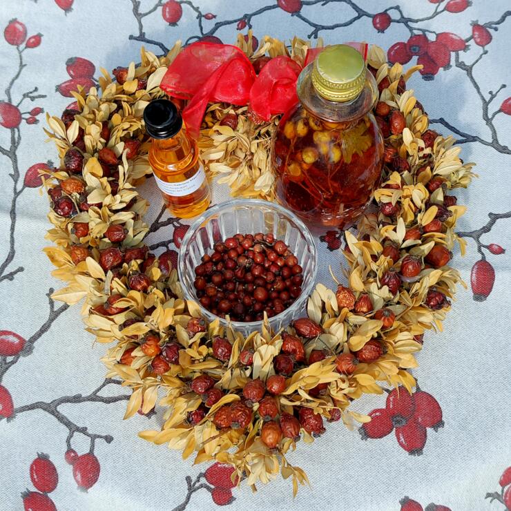 Herbstliche Kräuterführung