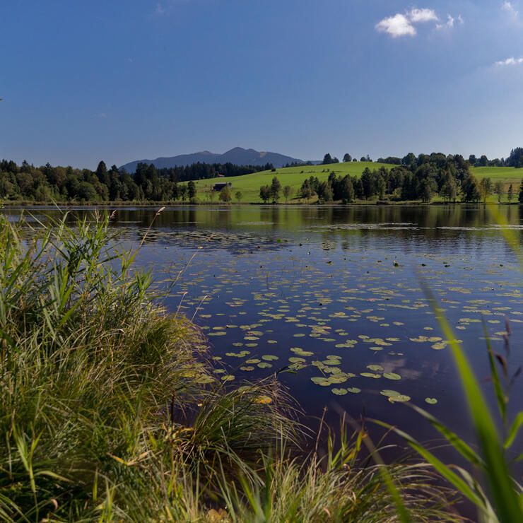 Rangerführung - Zwischen Moorleichen und Giftschlangen