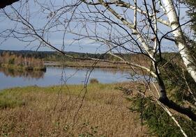 Vogelbeobachtungen im AINRINGER MOOR – Mit unserem Vogelexperten Karl-H. Gugg