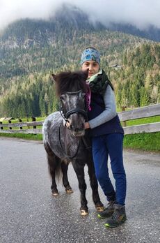 Unterwegs mit    unseren Ponys durch Wald und Wiese (Mittenwald)