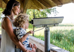 Vogelbeobachtung am Turm Seebruck